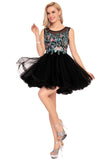 Homecoming Dresses A-Line Scoop Short/Mini Tulle With Beads&Appliques