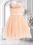 Rhoda Ball-Gown/Princess Sweetheart Short Tulle Homecoming Dress With Bow JLP0025719