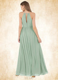 Cierra A-Line Pleated Chiffon Floor-Length Dress SJSP0019754