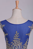 Dark Royal Blue Prom Dresses Scoop Mermaid Spandex With Applique Sweep/Brush Train