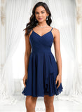 Stacy A-line V-Neck Short Chiffon Homecoming Dress JLP0025641