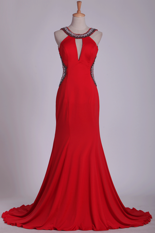 Prom Dresses Sheath Scoop Spandex With Beading Open Back Sweep Train