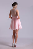 Lovely Homecoming Dresses A Line Scoop Chiffon Short/Mini