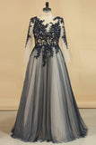 See-Through Prom Dresses Scoop Long Sleeves Tulle With Applique A Line