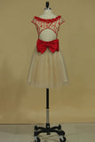 A Line Homecoming Dresses Scoop Tulle With Beads And Bow Knot