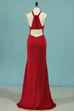 Sheath Spaghetti Straps Spandex Open Back Evening Dresses