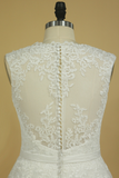 Plus Size V-Neck Wedding Dresses A-Line Court Train Tulle With Applique & Belt Covered Button