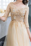 Scoop 3/4 Length Sleeves A Line Tulle With Applique Prom Dresses