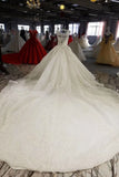 Champagne Wedding Gown V Neck Royal Train Handmade Beading Lace Up Back