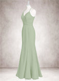 Nina Mermaid Ruched Chiffon Floor-Length Dress SJSP0019779