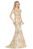 Prom Dresses V Neck Mermaid Tulle With Beads&Sequins