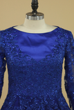 Dark Royal Blue Long Sleeves A Line Tulle With Applique