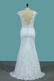 Lace Wedding Dresses Scoop With Beaded Waistline Covered Button Open Back