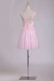 A Line Scoop Tulle With Embroidery Short/Mini Homecoming Dresses