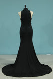 Evening Dresses High Neck Mermaid Spandex Sweep Train