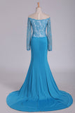 Long Sleeves Mermaid Prom Dresses With Applique Sweep Train Spandex