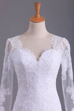 Long Sleeves V Neck Open Back Wedding Dresses Tulle With Applique Sheath