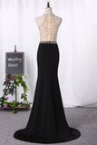 Spandex Scoop With Beading Mermaid Sweep Train Prom Dresses