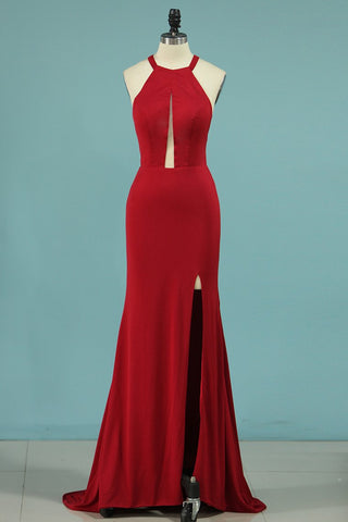 Sheath Spaghetti Straps Spandex Open Back Evening Dresses