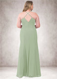 Nina Mermaid Ruched Chiffon Floor-Length Dress SJSP0019779