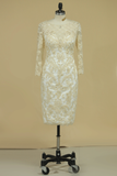 Mother Of The Bride Dresses Sheath With Applique 3/4 Length Sleeve