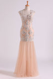 Classic Prom Dresses V Neck Mermaid/Trumpet Floor Length Tulle Champagne With Applique & Beads