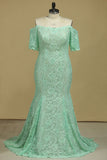 Sheath/Column Mid-Length Sleeves Bateau Lace Sweep Train Prom Dresses