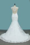 Mermaid Wedding Dresses Scoop Tulle With Applique Court Train