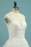 Cap Sleeve Wedding Dresses A Line Tulle With Applique