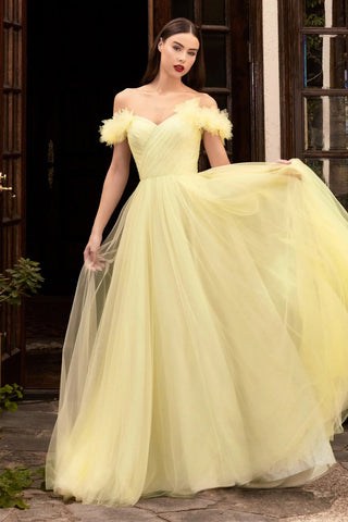 Tulle Princess Gown High Quality Beautiful Prom Quinceanera Dresses