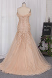 Mermaid Off The Shoulder Wedding Dresses Tulle With Applique