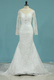 Wedding Dresses Mermaid V Neck With Applique Lace Court Train