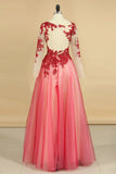 See-Through Prom Dresses Scoop Long Sleeves Tulle With Applique A Line