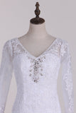 V-Neck 3/4 Length Sleeve Wedding Dresses Mermaid Tulle With Beads And Applique Court Train