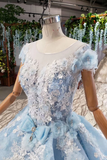 Light Sky Blue Gorgeous Prom Dress With Flowers, Ball Gown Quinceanera Dress With Beads