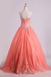 Quinceanera Dresses Ball Gown Strapless Tulle With Applique Floor Length