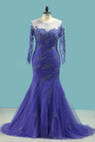 Chic Mother Of Bridal Dresses Mermaid Scoop Tulle With Applique