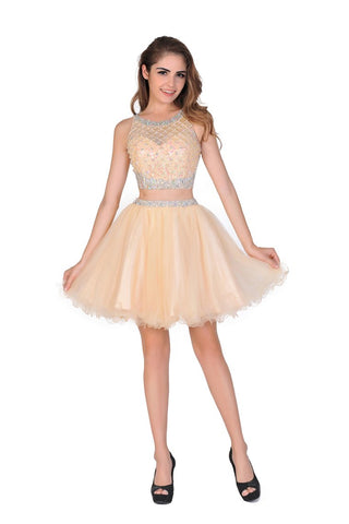 A-Line Homecoming Dresses Short/Mini Scoop Beaded Bodice Tulle