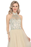 A-Line Halter Prom Dress Floor-Length Tulle With Beads&Rhinestones