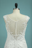 New Arrival Wedding Dresses V Neck Mermaid Tulle With Applique Chapel Train