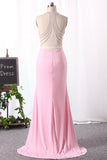 Mermaid Prom Dresses Halter Spandex Zipper Up With Beadings New Arrival