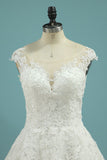 Cap Sleeve Wedding Dresses A Line Tulle With Applique