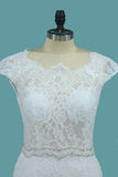 Lace Wedding Dresses Scoop With Beaded Waistline Covered Button Open Back