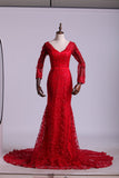 V-Neck Evening Dresses Mermaid With Applique Lace And Tulle