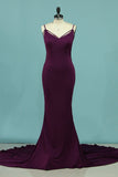 Mermaid Spaghetti Straps Evening Dresses Spandex Open Back