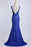 Evening Dresses Bateau Mermaid With Deep V Shape Back Lace&Tulle Dark Royal Blue