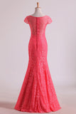 Bridesmaid Dresses Scoop Column Floor Length Lace