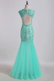 Prom Dresses V Neck Mermaid/Trumpet Champagne With Applique&Beads Floor Length Tulle