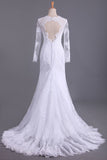 Long Sleeves V Neck Open Back Wedding Dresses Tulle With Applique Sheath