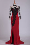 Long Sleeves Prom Dresses High Neck With Applique Spandex